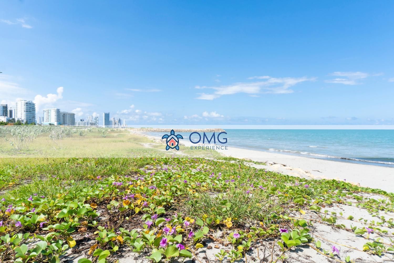 Cb 814 | Moderna Con Vista Al Mar Y Parque Apartamento *